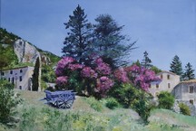 Printemps &agrave; Monieux