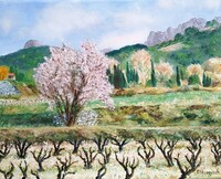 Printemps et Dentelles