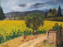 Tournesols en Luberon