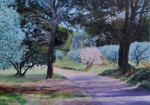 Route des Alpilles