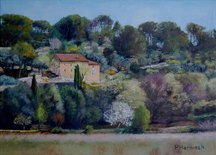 Campagne gardoise