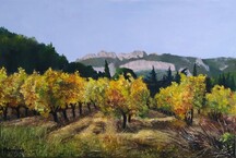 Vignes et Dentelles