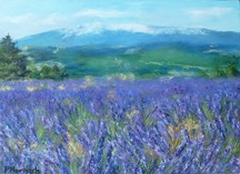 Lavandes et Ventoux