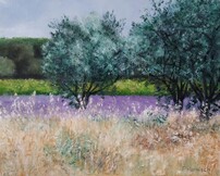 Provence toujours