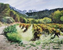 Vignes et Dentelles