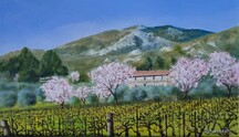 Printemps sur les Alpilles