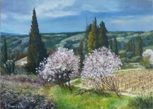 Printemps proven&ccedil;al