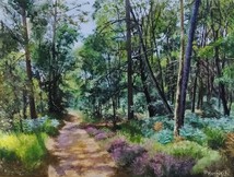 Sentier forestier