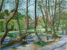 Le long de l'Alzon