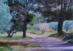 Route des Alpilles