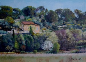 Campagne gardoise