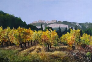 Vignes et Dentelles