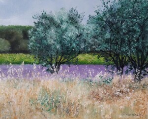 Provence toujours