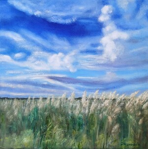 Camargue