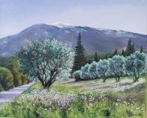 Oliviers et Ventoux