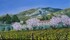 Printemps dur les Alpilles