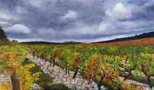 Ciel d'orage sur les vignes