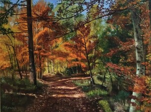 Automne en for&ecirc;t de Sault