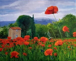 Ventoux et coquelicots